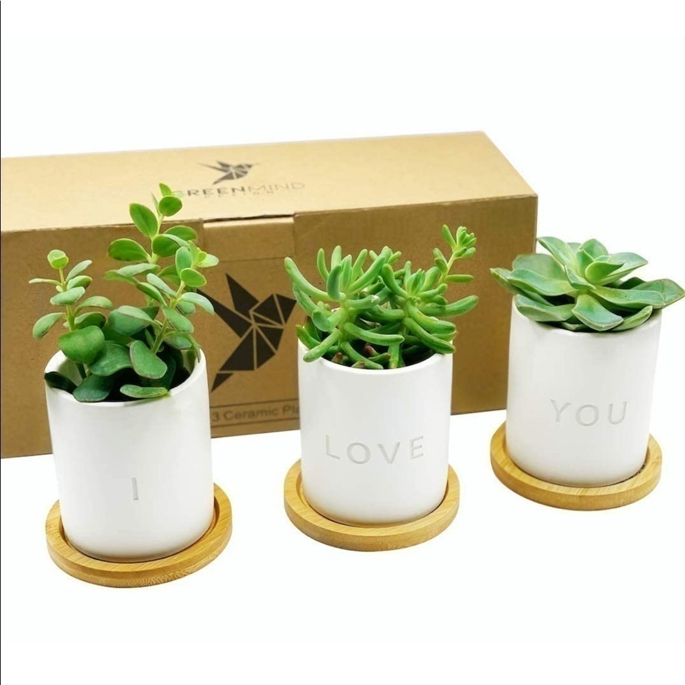 Brand New I Love You Set of 3 Ceramic Planter Pots 3.5” White w/ Bamboo Bases - Picture 7 of 12
